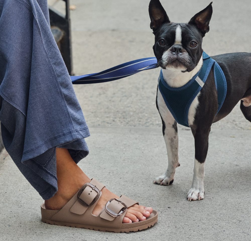 Women's Birkenstock Essentials Arizona Stealth Buckle Slide in tan.